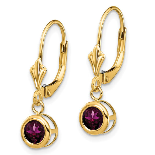 Shop Stylish 14K Gold Leverback Earrings with 5mm Rhodolite Garnet