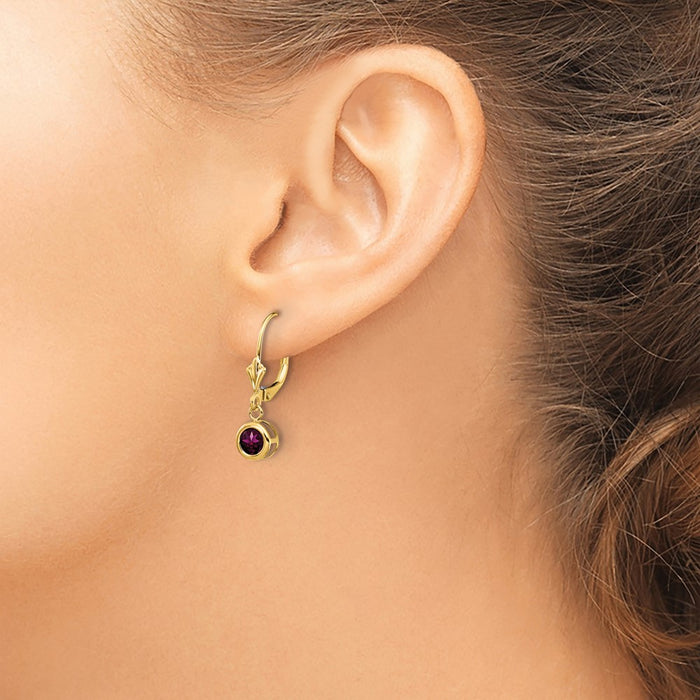 Shop Stylish 14K Gold Leverback Earrings with 5mm Rhodolite Garnet-3