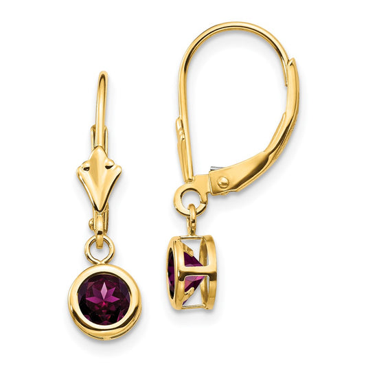 Shop Stylish 14K Gold Leverback Earrings with 5mm Rhodolite Garnet