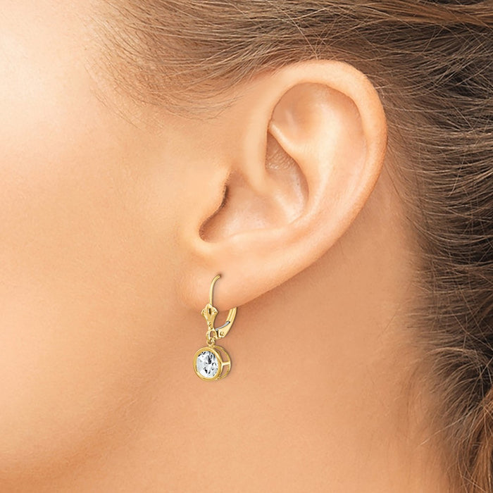 Shop Stylish 14K Gold 6mm Cubic Zirconia Leverback Earrings | Affordable Luxury-3