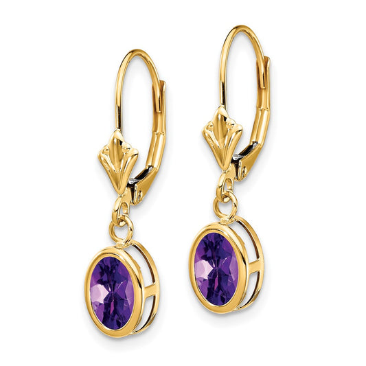 Shop Stylish 14K Gold Leverback Earrings with 7x5mm Oval Amethyst, Value!