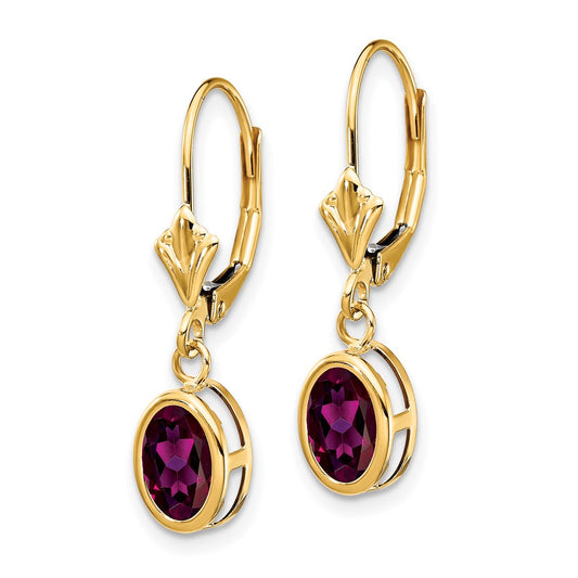 Buy Exclusive 14K Gold 7x5mm Oval Rhodolite Garnet Earrings - Stylish Value!
