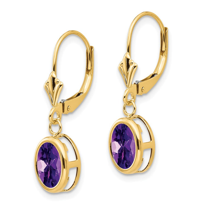 Shop Exclusive 14K Gold 8x6mm Oval Amethyst Leverback Earrings | Stylish Value-2