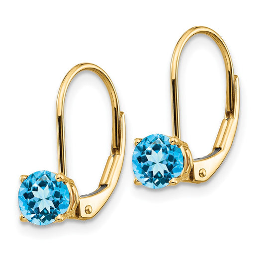 Exclusive 14K Gold 5mm Blue Topaz Leverback Earrings | Stylish & Affordable!