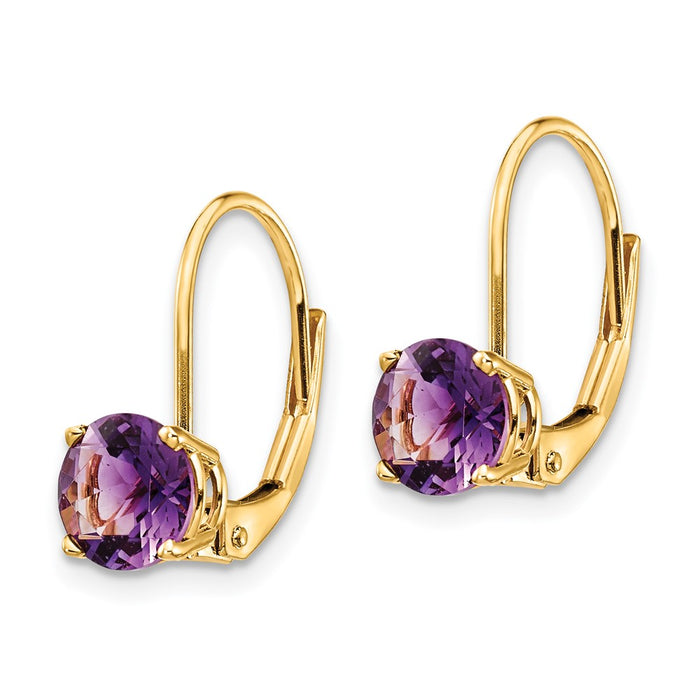 Buy Stylish 14K Gold 6mm Amethyst Leverback Earrings - Affordable Luxury!-2