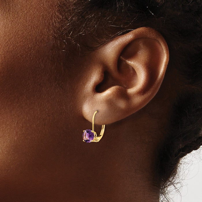 Buy Stylish 14K Gold 6mm Amethyst Leverback Earrings - Affordable Luxury!-3