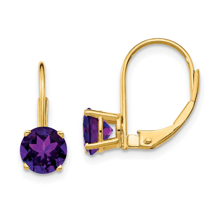 Buy Stylish 14K Gold 6mm Amethyst Leverback Earrings - Affordable Luxury!-1