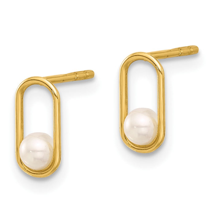 Shop 14K Gold Freshwater Cultured Pearl Stud Earrings - Stylish & Affordable!-2