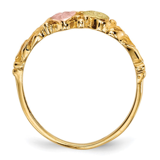 Buy Stylish 10K Tri-Color Black Hills Gold Ring - Elegant Design & Value