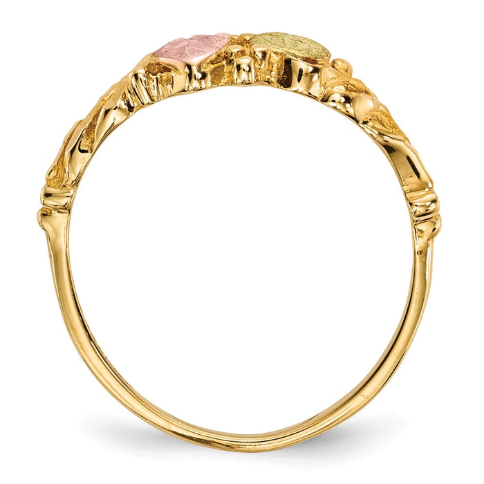 Buy Stylish 10K Tri-Color Black Hills Gold Ring - Elegant Design & Value-2
