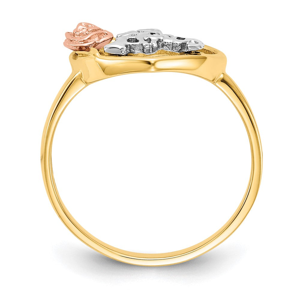 Exclusive 10K Two-Tone Rhodium-Plated 15th Anniversary Ring - Stylish Value!