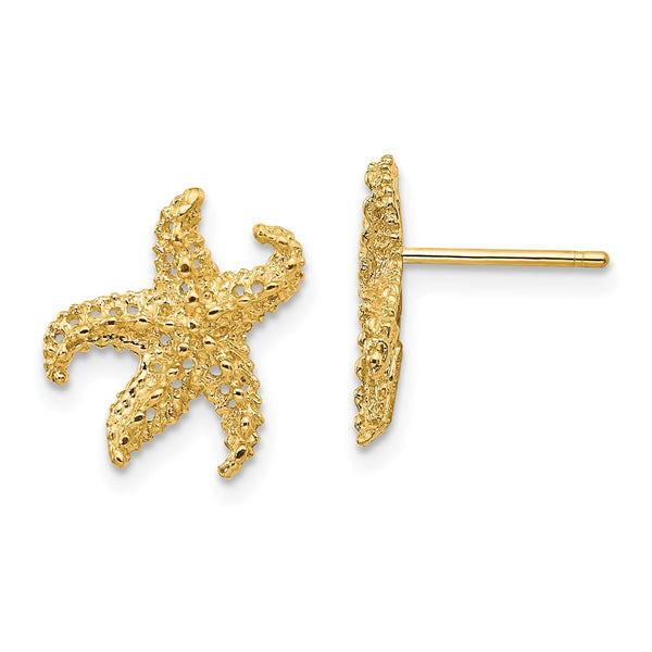 14K Gold Starfish Earrings, Lightweight