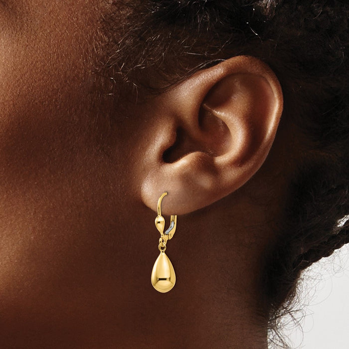 Shop Exclusive 14K Gold Polished Fancy Dangle Leverback Earrings - Stylish Value-3