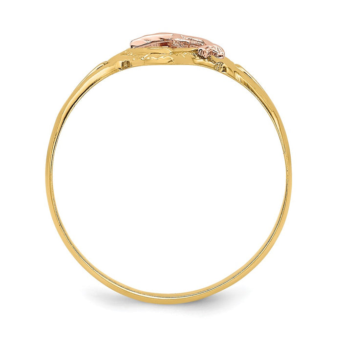Buy Stylish 14K Yellow & Rose Gold Dolphin Heart Ring - Luxury Rhodium Finish-2