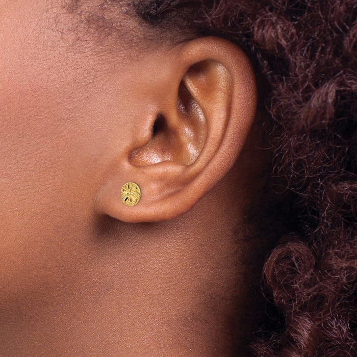 Exclusive 14K Gold Diamond-Cut Sand Dollar Stud Earrings - Stylish Value!-3