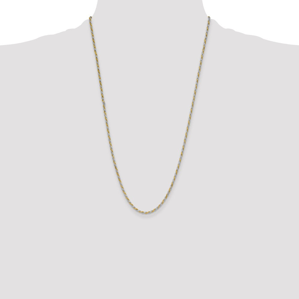 Exclusive 2.5mm Diamond-Cut Rope Chain in Sterling Silver & Vermeil - Affordable Luxury