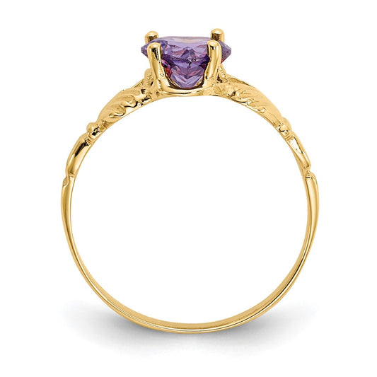 Exclusive 14K Gold February Birthstone Claddagh Ring | Stylish CZ Design