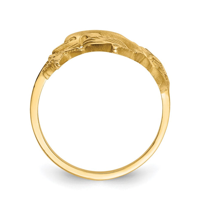 Buy Exclusive 14K Gold Dolphin Starfish Sand Dollar Ring - Stylish & Affordable-2
