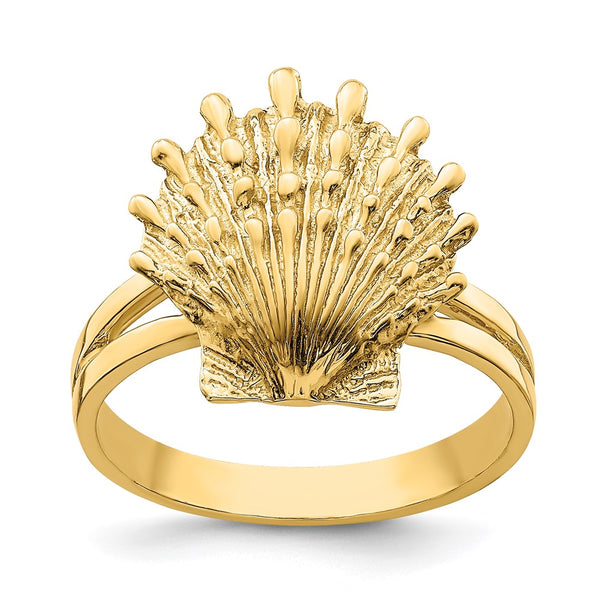 14K Gold Lion's Paw Shell Ring - Style GR1-1010291