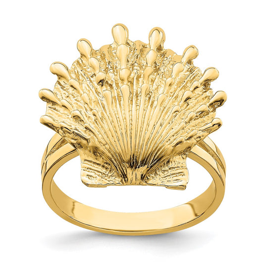 Shop Exclusive 14K Gold Lion's Paw Shell Ring - Stylish & Affordable Jewelry