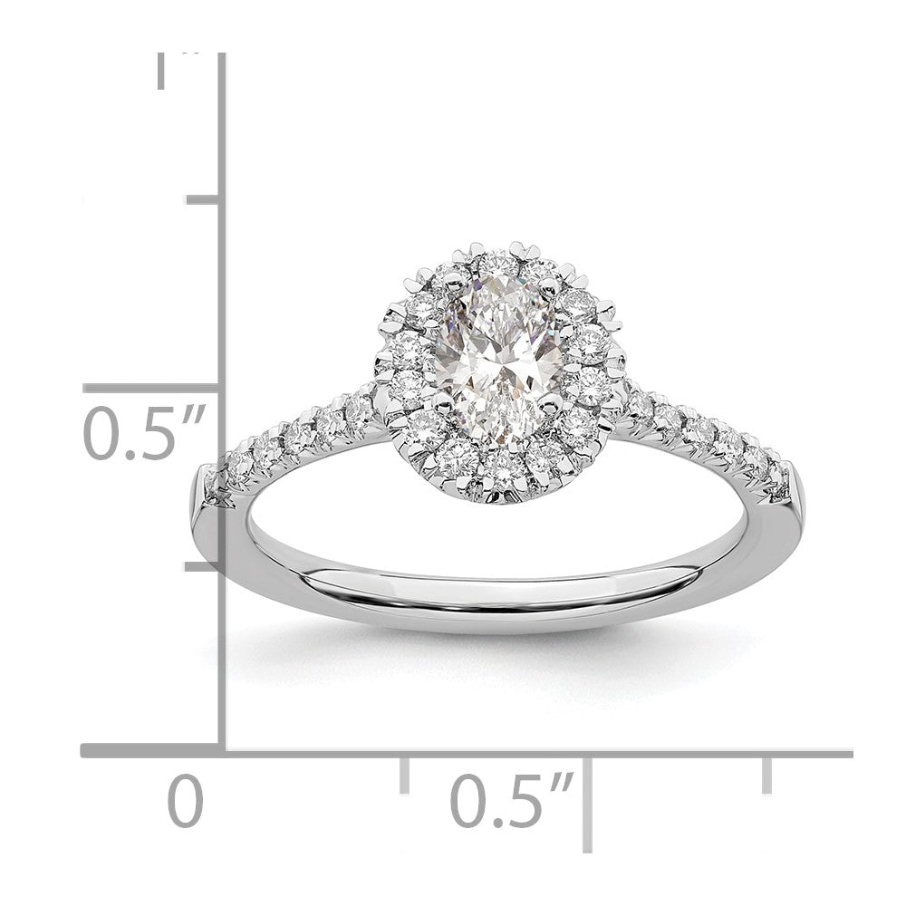 High-Quality 14K White Gold Halo Engagement Ring - 1/2 Carat Oval Center, Stylish Design