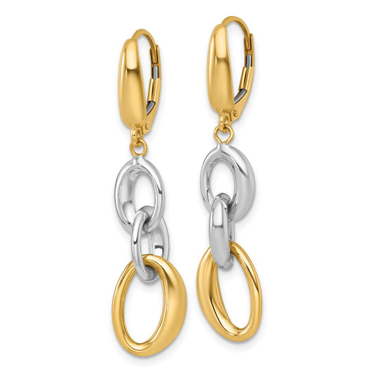 Shop Stylish 14K Two-Tone Polished Oval Link Leverback Earrings - Luxury Value