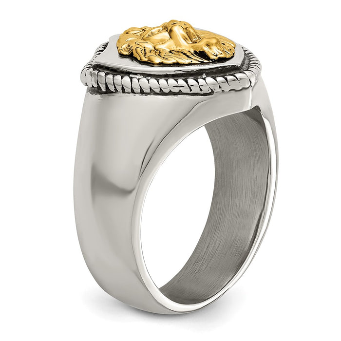 Shop Exclusive Antiqued Lion Shield Ring in Chiseled Stainless Steel & 14K Gold-6