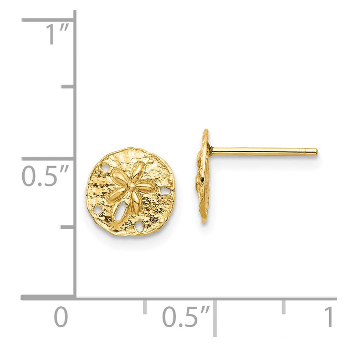 Buy Stylish 14K Gold Sand Dollar Stud Earrings - Affordable Luxury Accessory-4