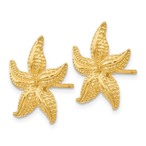 14K Gold Starfish Stud Earrings - Lightweight