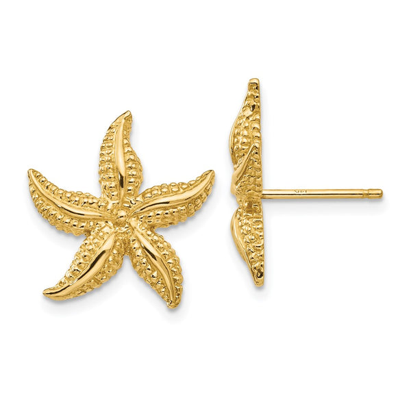 14K Gold Starfish Stud Earrings - Lightweight
