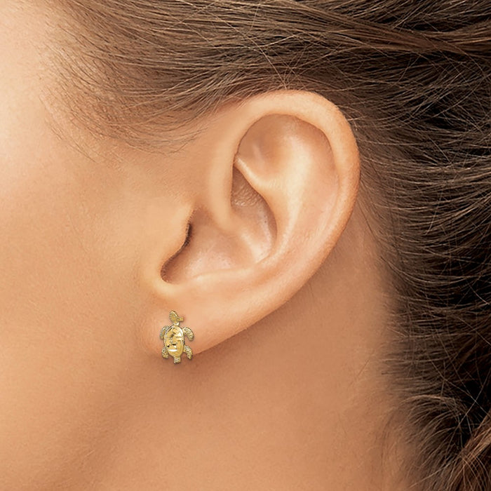 Shop 14K Gold Polished Diamond-Cut Sea Turtle Stud Earrings - Stylish Value!-3