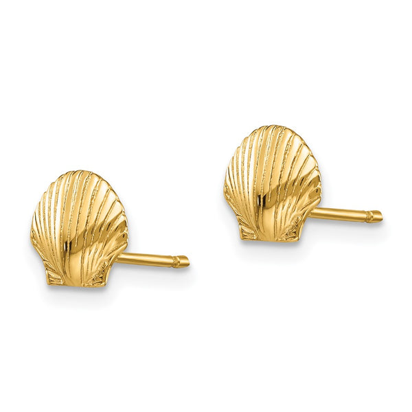 14K Gold Mini Scalloped Shell Stud Earrings