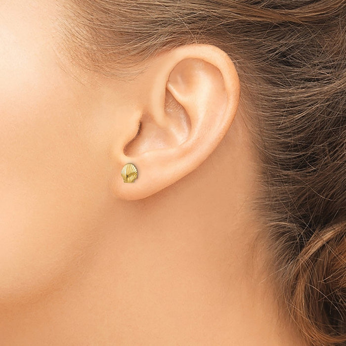 Shop 14K Gold Mini Scalloped Shell Stud Earrings - Stylish & Affordable Luxury-3