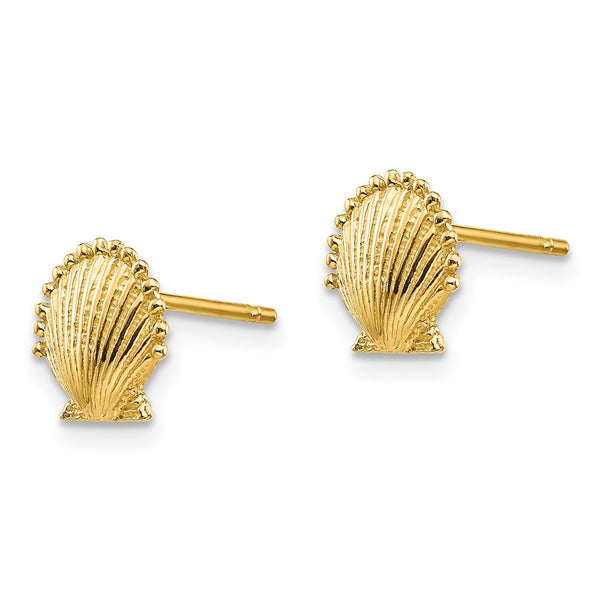 14K Gold Scallop Shell Stud Earrings - Style GR1-1019931