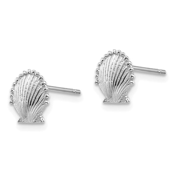 14K White Gold Scalloped Shell Stud Earrings - 0.85mm