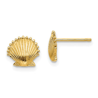 Buy 14K Gold Scallop Shell Stud Earrings | Stylish & Affordable Design
