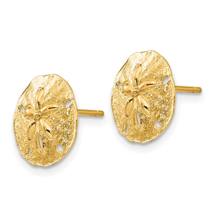 High-Quality 14K Gold Sand Dollar Stud Earrings - Stylish & Affordable Elegance-2