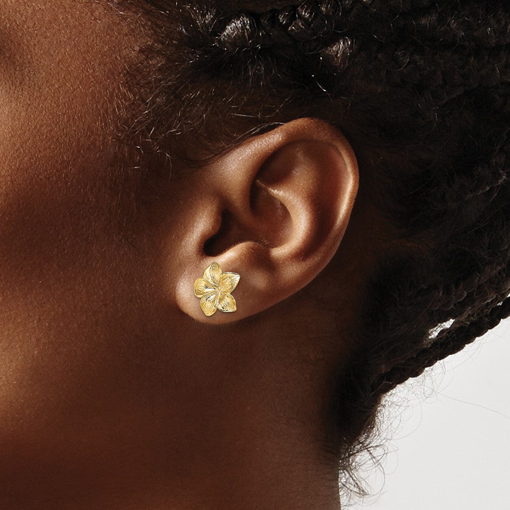 High-Quality 14K Gold Plumeria Flower Stud Earrings - Stylish & Affordable!