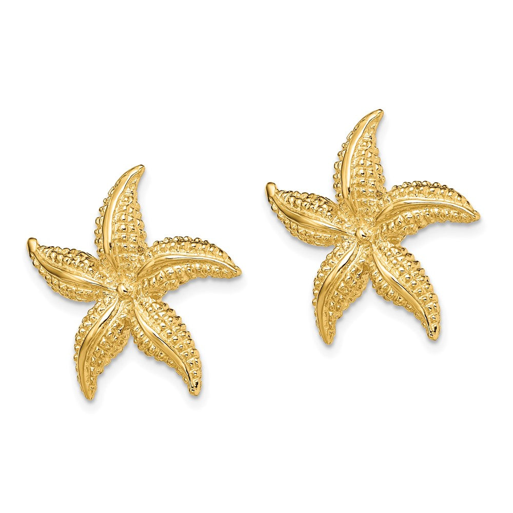High-Quality 14K Gold Starfish Post Earrings | Stylish & Affordable Accessory