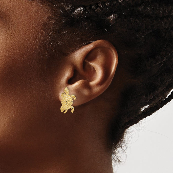 High-Quality Textured 14K Gold Land Turtle Post Earrings - Stylish Value!-3