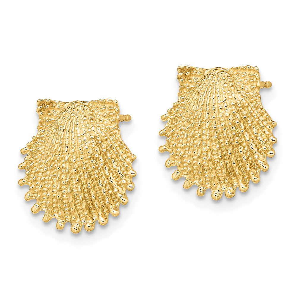 Buy Stylish 14K Gold Beaded Scallop Shell Stud Earrings - 0.85mm Luxury Design
