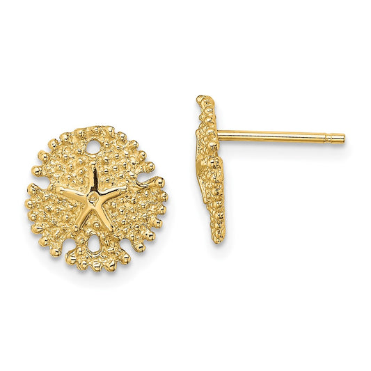 Buy Exclusive 14K Gold Textured Sand Dollar Stud Earrings - Stylish Value