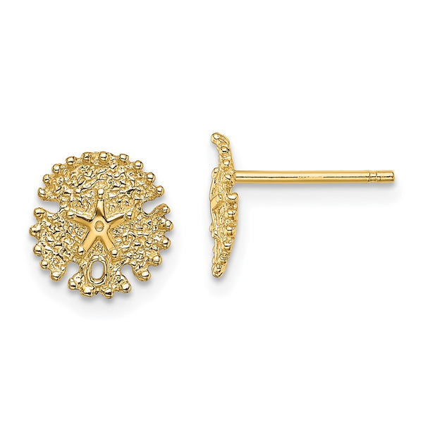 14K Gold Textured Sand Dollar Stud Earrings - Style GR1-1019995