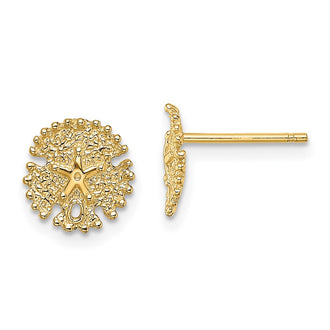 Shop Stylish 14K Gold Textured Sand Dollar Stud Earrings - Value & Quality
