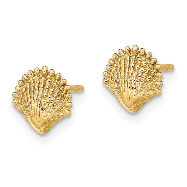 14K Gold Scallop Shell Stud Earrings - Style GR1-1020004