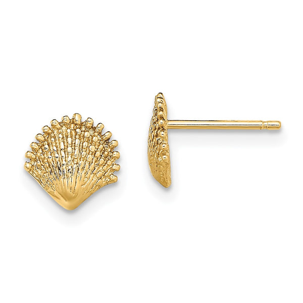14K Gold Scallop Shell Stud Earrings - Style GR1-1020004