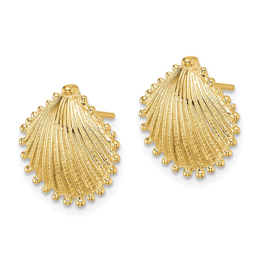 High-Quality 14K Gold Scallop Shell Stud Earrings - Stylish & Affordable!
