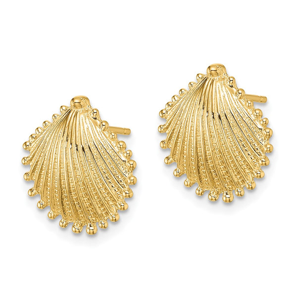 14K Gold Scallop Shell Stud Earrings - Style GR1-1020002