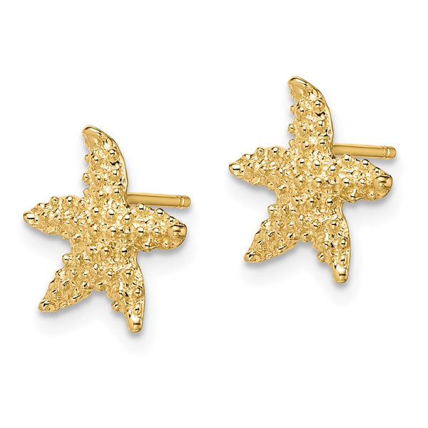 14K Gold Textured Starfish Stud Earrings