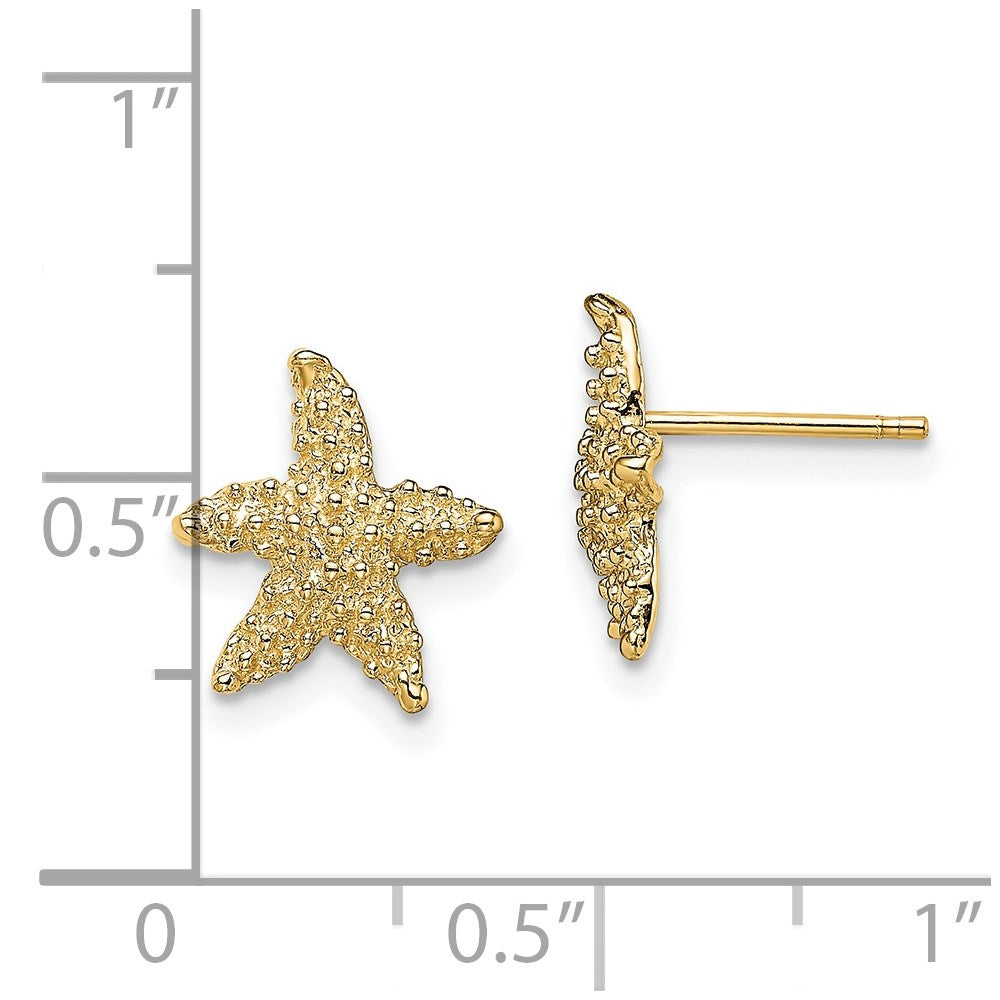 Designer 14K Gold Textured Starfish Stud Earrings | Stylish & Affordable Luxury